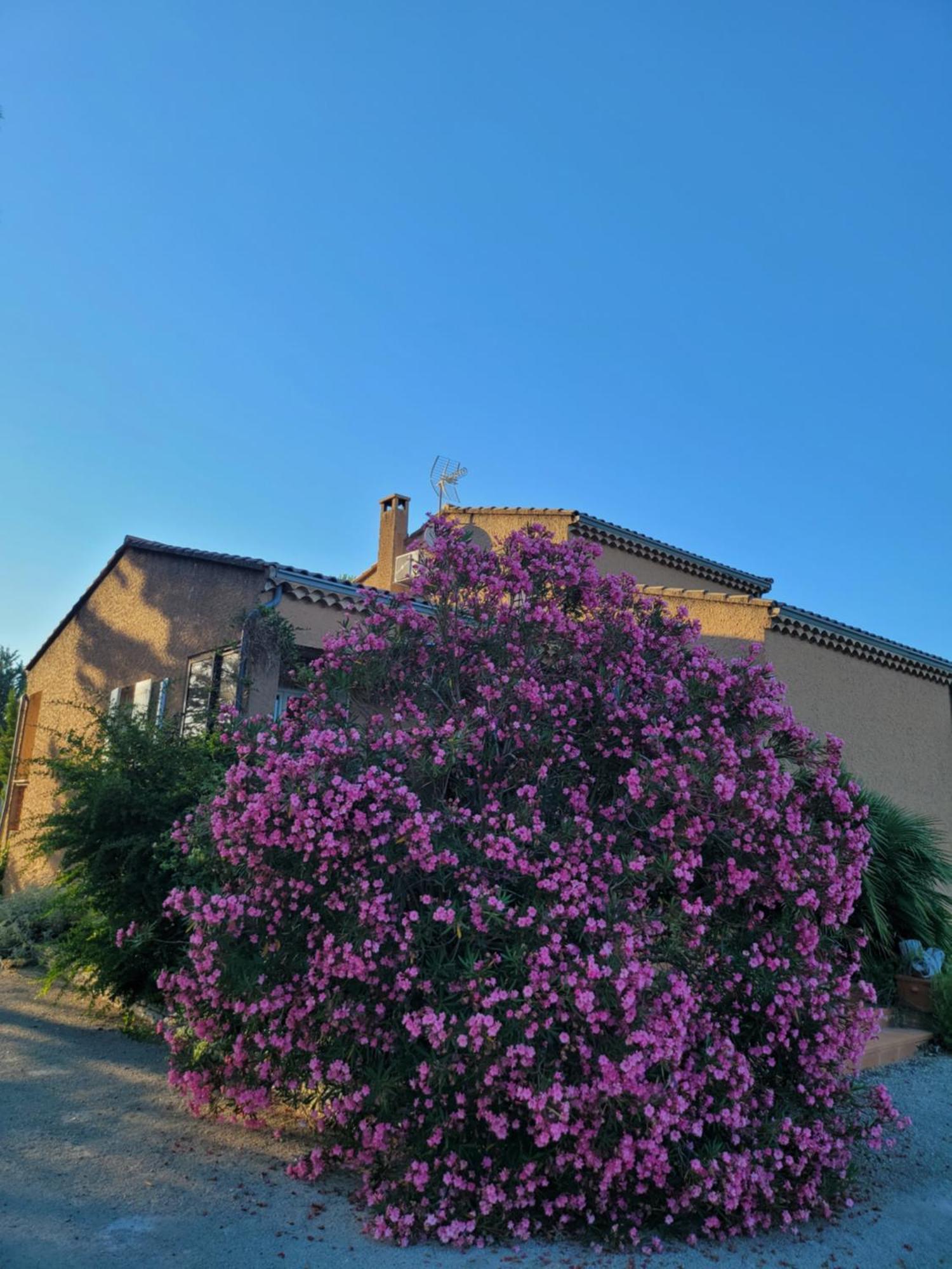 Villa Family First Gargas  Exterior foto